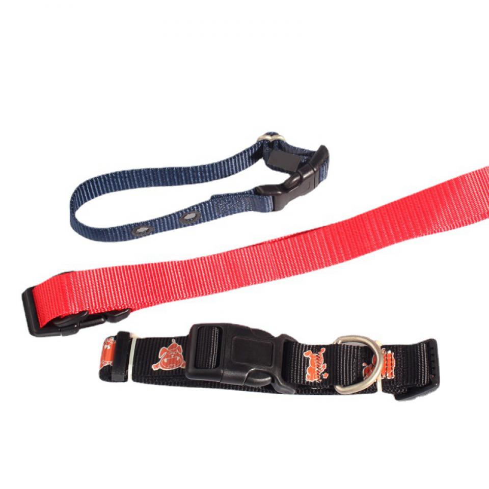 Pet leash